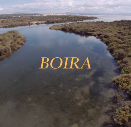 boira 450x436 - Boira